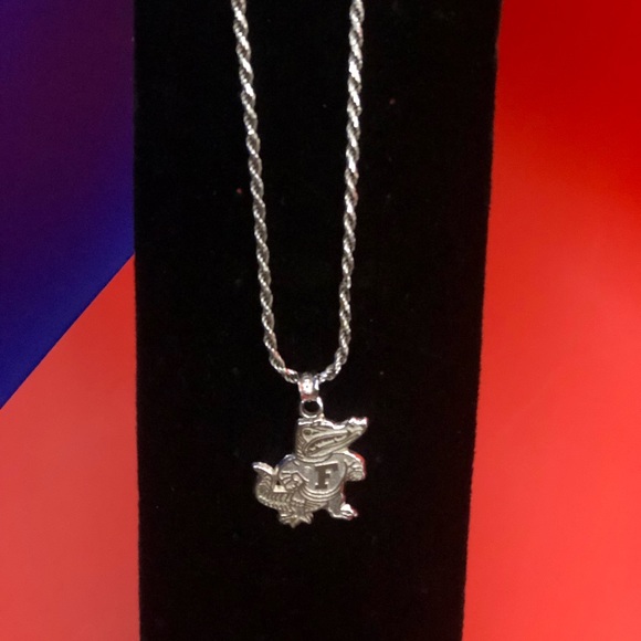 Gator Charm & Necklace. ?